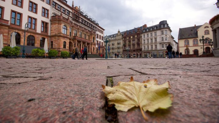 FWG Wiesbaden offiziell gegründet!